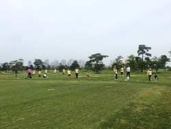 2019 상반기 정기교육_8주차 잭니 주말반4 (파 레벨 1)