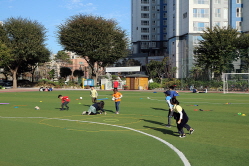 2019 하반기 정기교육_5주차 신암초 주중반 12